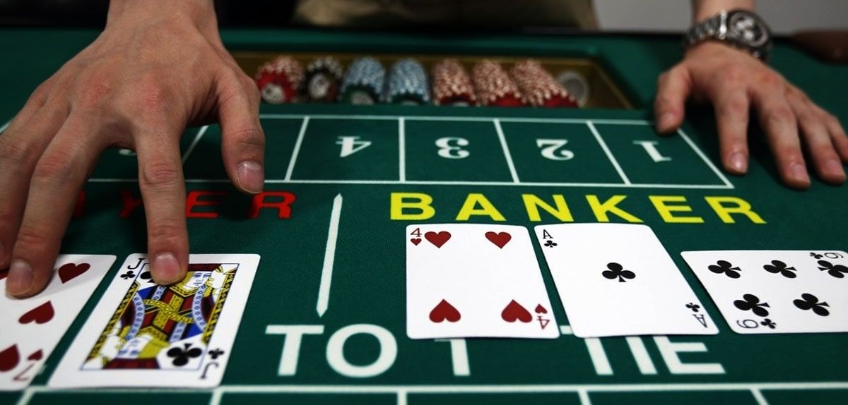 Betting Website Templates Live Casino
